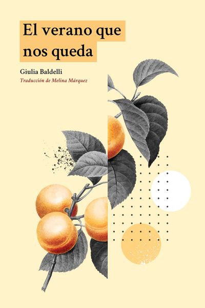 Portada de EL VERANO QUE NOS QUEDA