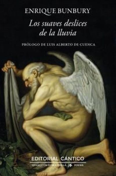 Portada de LOS SUAVES DESLICES DE LA LLUVIA