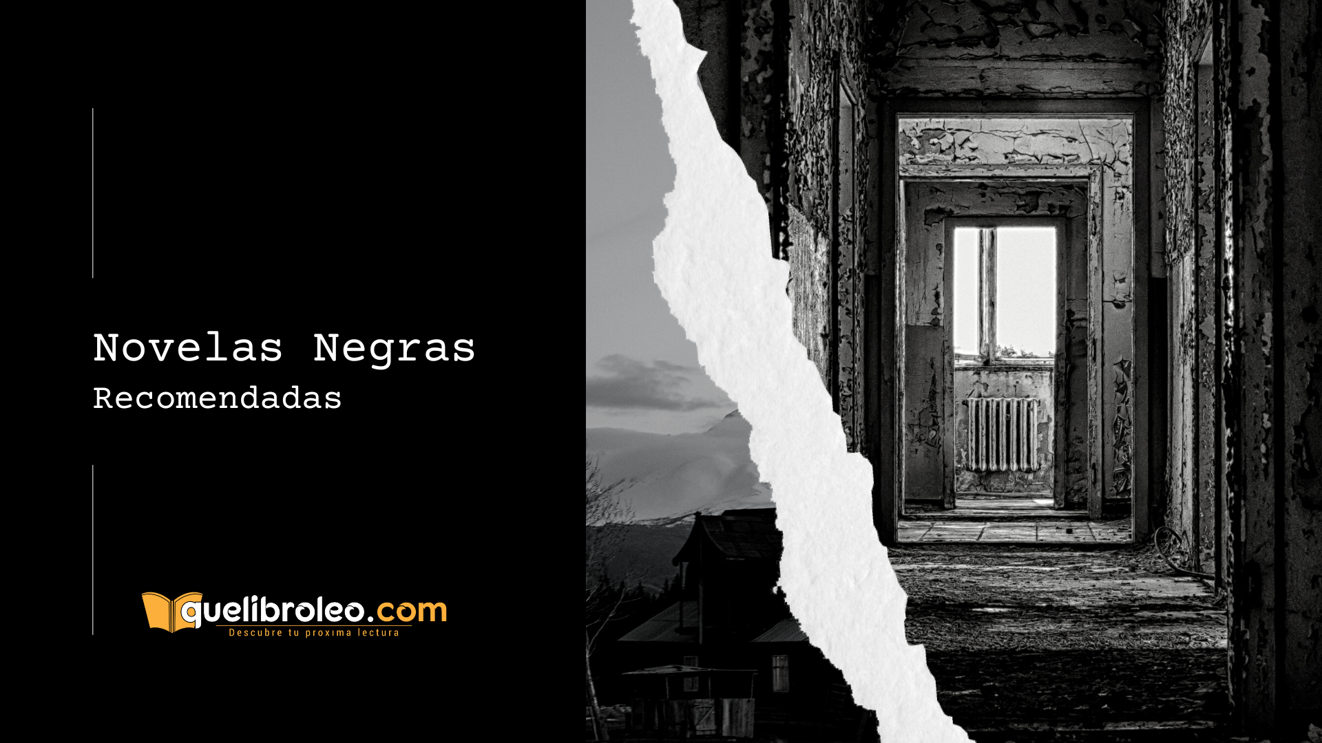 Recomendaciones Novela Negra Quelibroleo