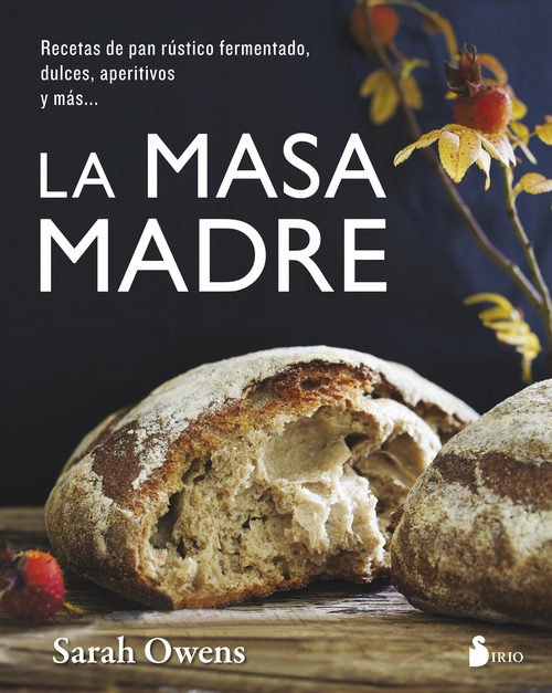 Portada de LA MASA MADRE
