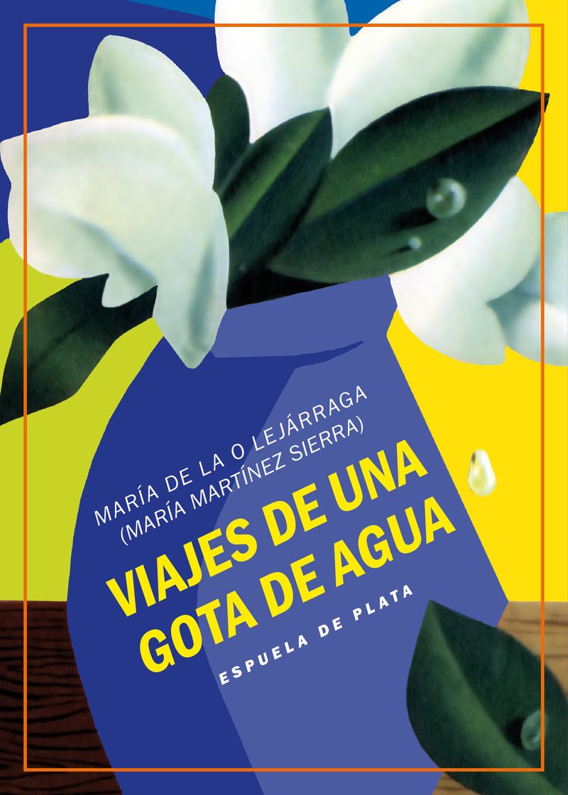 Portada de VIAJES DE UNA GOTA DE AGUA