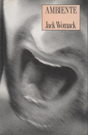 Portada de AMBIENTE