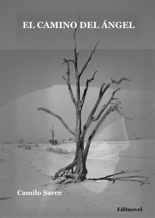 Portada de EL CAMINO DEL ÁNGEL