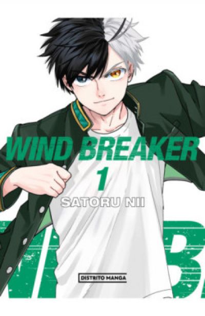 Portada de WIND BREAKER 1