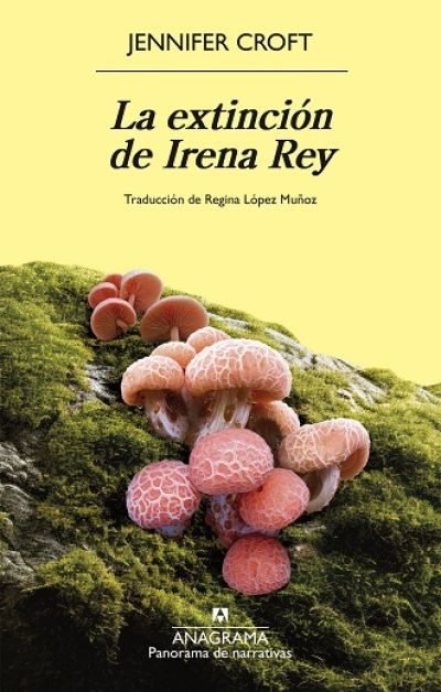 Portada de LA EXTINCIÓN DE IRENA REY