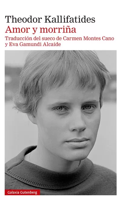 Portada de AMOR Y MORRIÑA