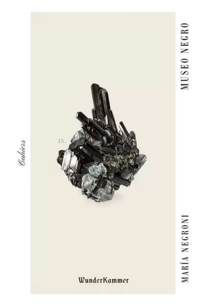 Portada de MUSEO NEGRO