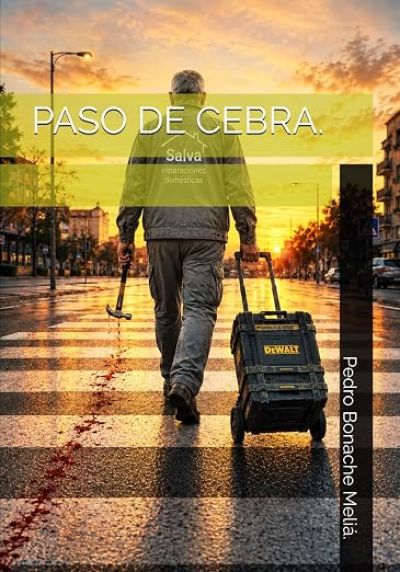 PASO DE CEBRA